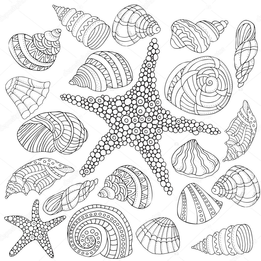Бесшовный Узор С Морскими Раковинами Векторное Изображение ©imhope.
