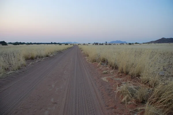 Estrada reta através de terra grama amarela — Fotografia de Stock