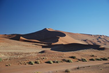 Kırmızı kumul Namibya