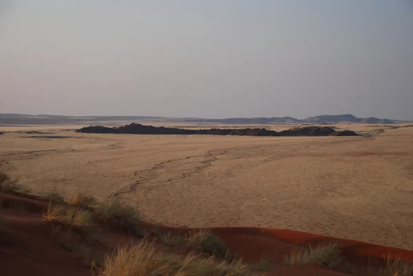Vista noturna da savana na Namíbia — Fotografia de Stock