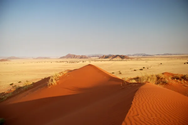 Herbes jaunes en Namibie et dunes de sable — Photo