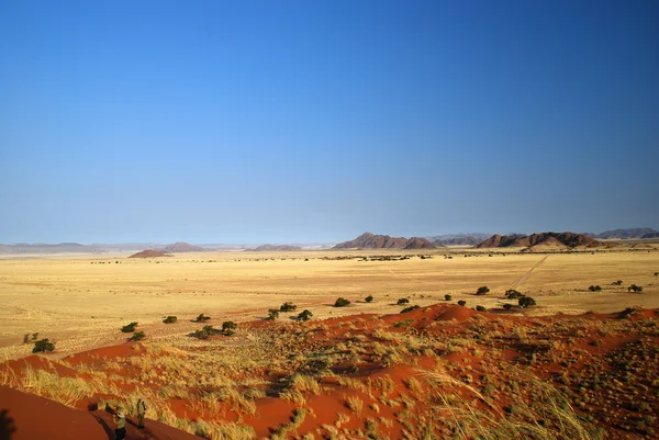 Terra de grama amarela, savana em Namíbia — Fotografia de Stock