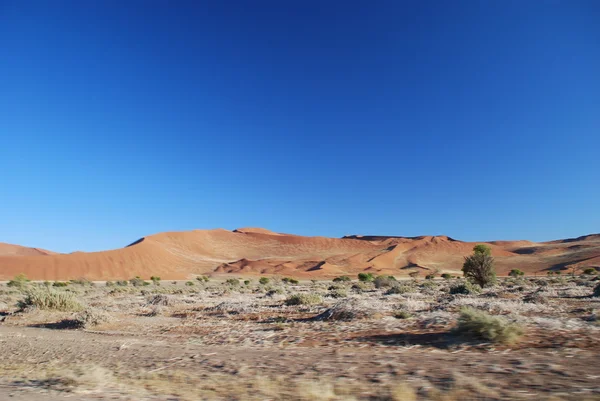 Namibie, Sossusvlei, Vue des dunes de sable — Photo