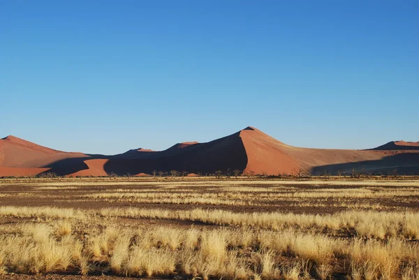 Namíbia, Sossusvlei, Vista da duna de areia — Fotografia de Stock