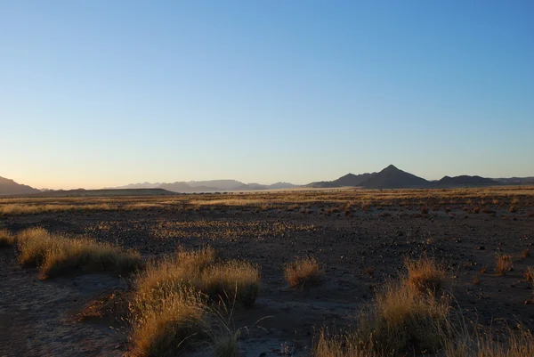 Fantástica paisagem do deserto da Namíbia pela manhã — Fotografia de Stock