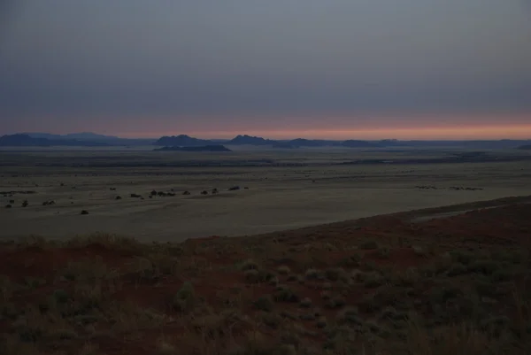 Kvällen utsikt över savannen i Namibia mörkblå röd himmel — Stockfoto