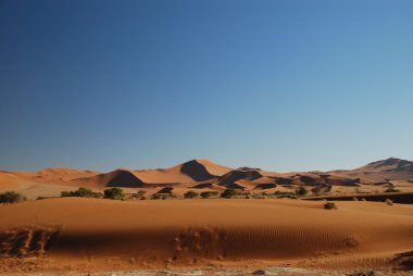 Namib kumul