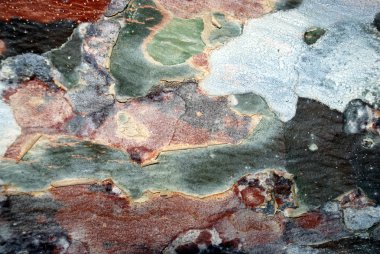 Renkli parlak ağaç kabuğu arka plan