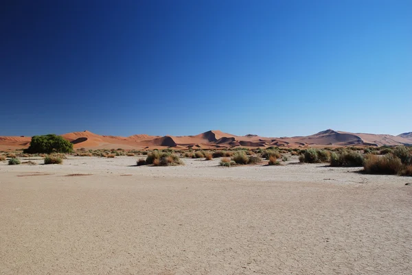 Zout flat in de woestijn van Namibië — Stockfoto