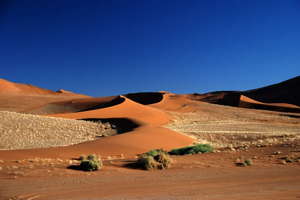 Namibië, Sossusvlei, uitzicht op zandduin — Stockfoto