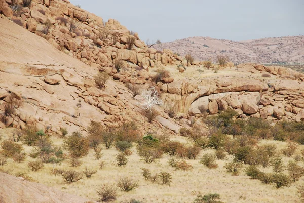 Sten och sten öken i Namibia — Stockfoto