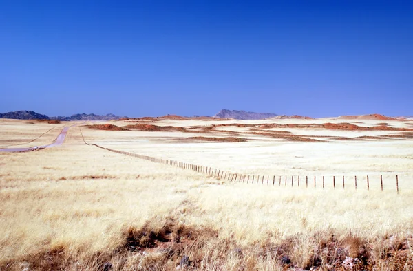 Staket i gula savanna Namibia — Stockfoto