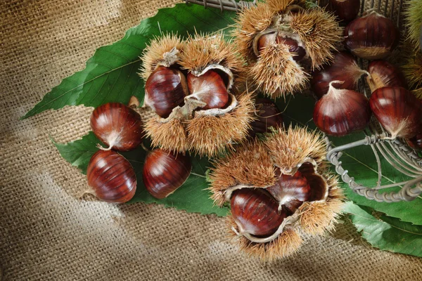 Castañas de otoño en la mesa — Foto de Stock