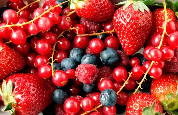 Frutas de verão diferentes — Fotografia de Stock