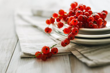 Olgun kırmızı kuş üzümü