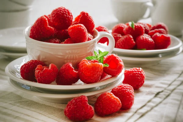 Frische reife Himbeeren — Stockfoto