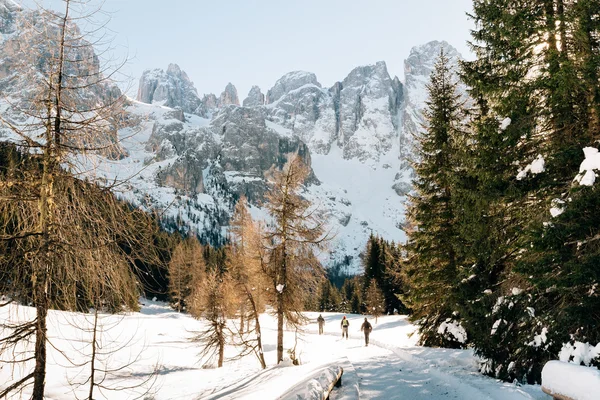 Pessoas caminhando na neve — Fotografia de Stock