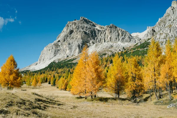 Vista de outono de Dolomitas — Fotografia de Stock