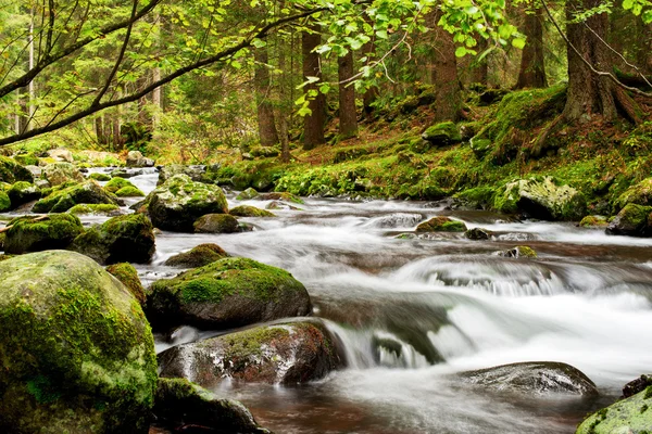 Rapid mountain stream — Stock Photo, Image