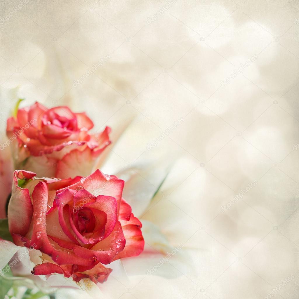 Red Roses on light background Stock Photo by ©.it  117765308