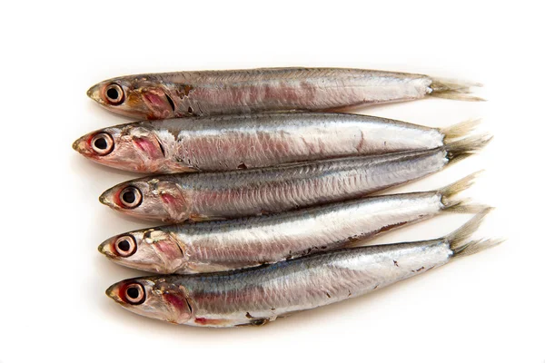 Pescado crudo de sardinas —  Fotos de Stock