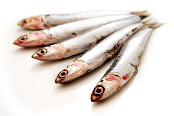 Pescado crudo de sardinas —  Fotos de Stock