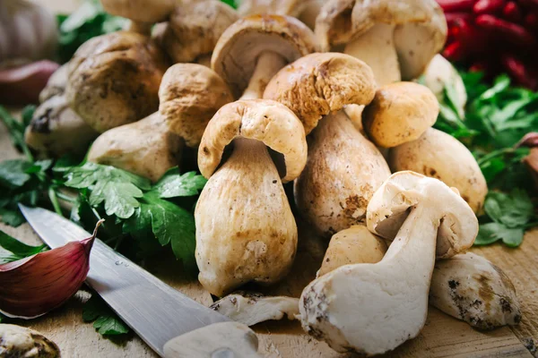 Setas porcini crudas —  Fotos de Stock