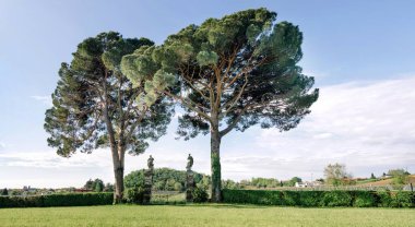 Angarano 'nun mimarı Andrea Palladio, Bassano del Grappa, İtalya tarafından tasarladığı tarihi villa bağından heykeller. 