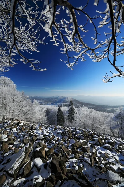 树木繁茂的冬天山 — 图库照片