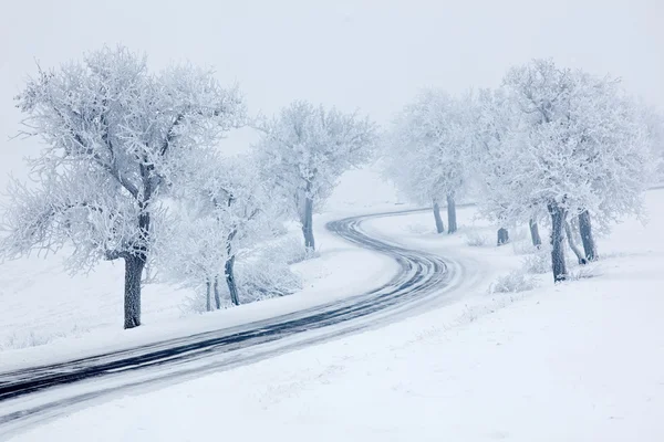 Strada invernale innevata — Foto Stock