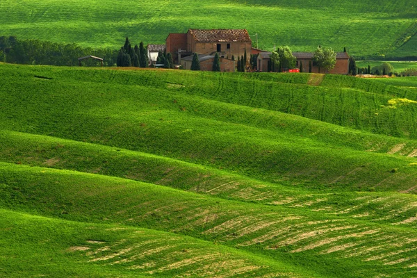 Old building in the green field — Stock Photo, Image