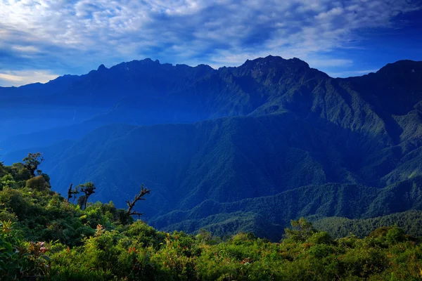 山は熱帯林 — ストック写真