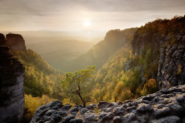 Вечірнє сонце під час заходу сонця — стокове фото