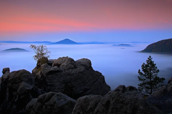 Beautiful mountain landscape — Stock Photo, Image