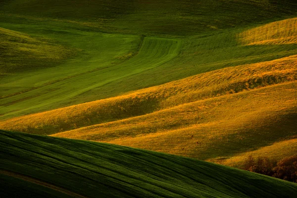 Idyllic view of hilly farmland — Stock Photo, Image