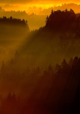 valley of Bohemian Switzerland park