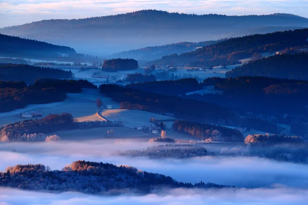 Koude ochtend in het nationaal park Sumava — Stockfoto