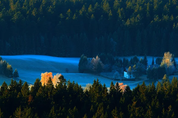 Kall morgon i Sumava National park — Stockfoto