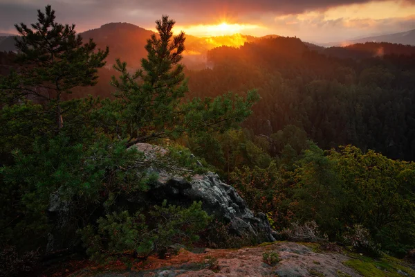 Mély ködös valley — Stock Fotó