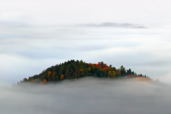 Colina com árvores de outono — Fotografia de Stock
