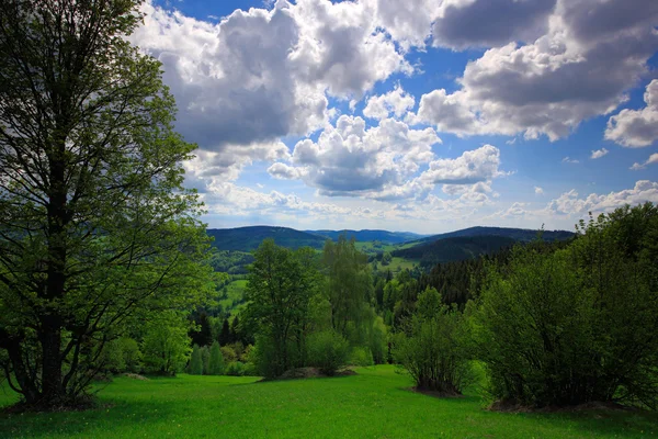 Летний пейзаж с небом и облаками — стоковое фото