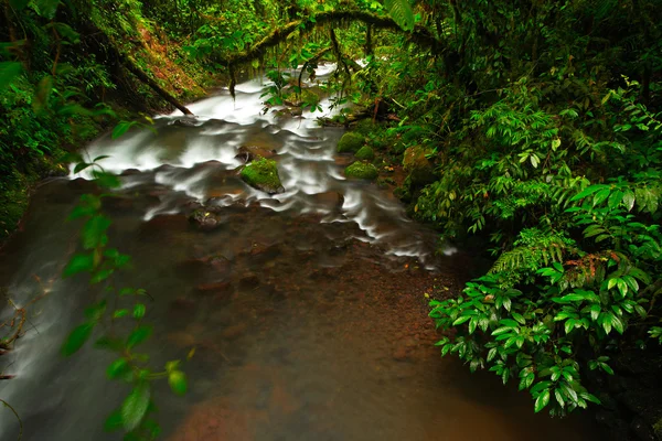 Río en bosque tropical verde — Foto de Stock