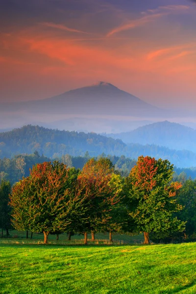 Góry i autumn drzewa — Zdjęcie stockowe