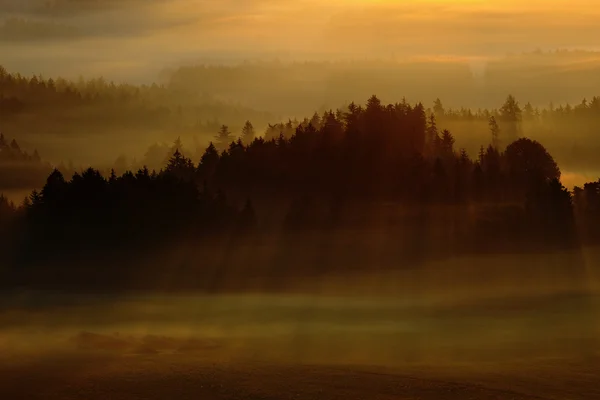 Dimmig morgon i dalen — Stockfoto