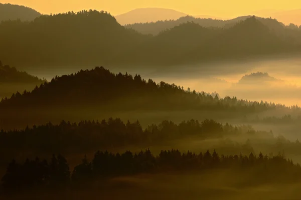 Dimmig morgon i dalen — Stockfoto