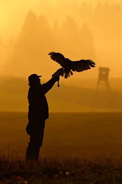Silhouette von Falkner mit Adler — Stockfoto