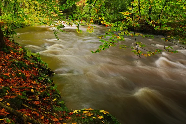 River park České Švýcarsko — Stock fotografie