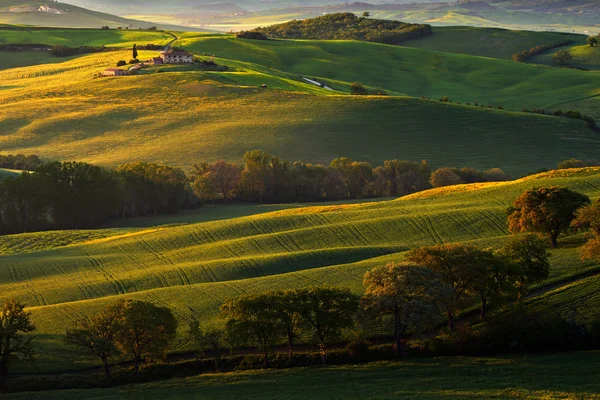 Mattinata nebbiosa nella valle — Foto Stock