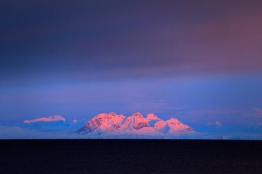 Deniz buzuyla akşam. Beyaz karlı dağ, mavi buzul Svalbard, Norveç. Kuzey Kutbu 'nda buzdağı alacakaranlığı. Buz parçalı pembe bulutlar.