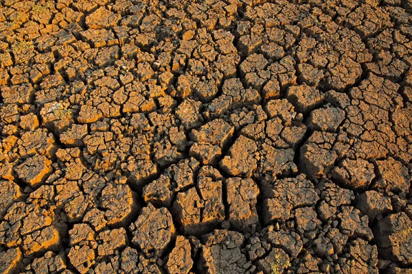 Dry lake, Mana Pools NP, Zimbabwe. Hot season in Africa. Dry summer landscape with blue sky and white clouds, White grey muddy clay lake. Summer without water. Traveling in hot Africa nature.